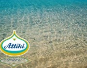 542558_402486096456965_1490494576_n