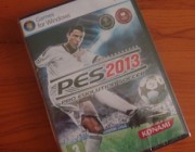 PES2013