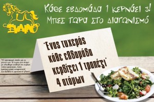Διαγωνισμός Ξύλινου
