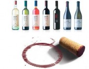 diagwnismoi-krasia-megapanos