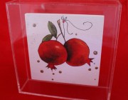 gouri-plexiglass-diagonismos