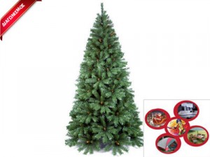 main_image_contest_sites