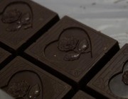 734824_511513345536734_398399411_n