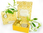 Cassandra-Set-584x480