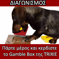 Gamble Box TRIXIE