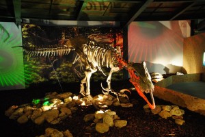 Οι δεινόσαυροι της Παταγονίας στο Γουδή