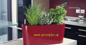 Αυτοποτιζόμενη ζαρντινιέρα με αρωματικά φυτά