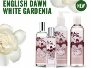 english-dawn-white-gardenia-625x472-625x471