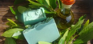 10473727_1469912679913604_848234866_o-702x336