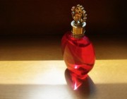 roberto-cavalli-exotica-1-590x442