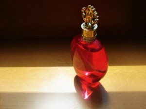 roberto-cavalli-exotica-1-590x442