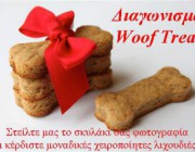 diagonismos-gia-xeiropoiites-lixoydies-woof-treats-100tmx-poy-tha-xetrelanoyn-ton-skylo-sas-155917.jpg