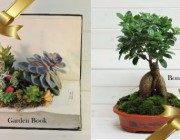 diagonismos-me-doro-ena-monadiko-garden-book-kai-ena-ginseng-ficus-bonsai-209199.jpg