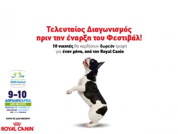 Διαγωνισμός με δώρο σκυλοτροφή για 1 μήνα