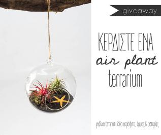 Διαγωνισμός για ένα γυάλινο terrarium με δύο αερόφυτα