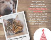 diagonismos-me-doro-10-christmas-gift-boxes-me-dora-purina-237309.jpg